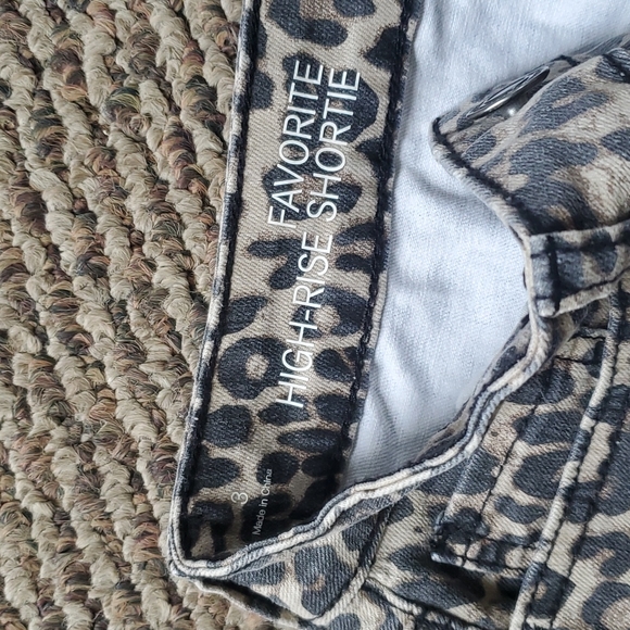 Shorts - Picture 4 of 4